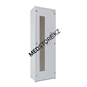 Шкаф для хранения 2 эндоскопов,1х30W "СПДС-2-Ш"
