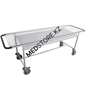 Тележка внутрикорпусная ТВ-ММ рентгенопрозрачная 1245