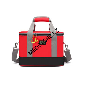 Медицинская термосумка FAK2409