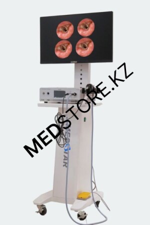 Эндоскопическая визуальная Full HD LED система FCL-300, тип “Ручка”, на передвижной стойке (Medstar Co., Ltd, Южная Корея)