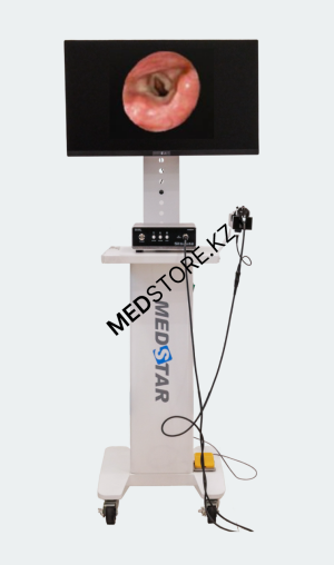 Эндоскопическая визуальная Full HD LED система FCL-100, тип "Ручка", на передвижной стойке (Medstar Co., Ltd, Южная Корея)