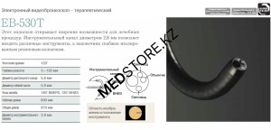 Видеобронхоскоп терапевтический EB-530T (FUJIFILM, Япония)