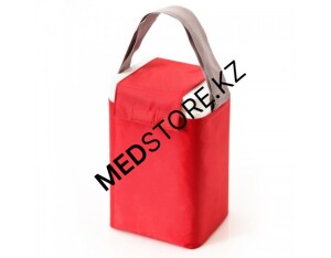 Термоконтейнер ТМ-2-01/вертикальный