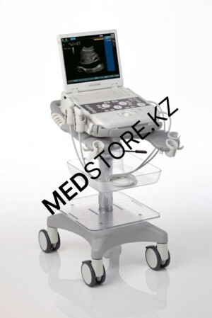 Система ультразвуковая Acuson P300 Siemens Ltd. Seoul, Siemens Ultrasound Systems (Корея)