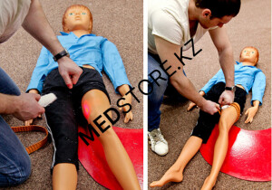 Имитатор артериального кровотечения и коматозного состояния «Глаша»