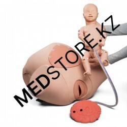 Симулятор процесса родов, нижняя часть тела, младенец, пуповина, плацента