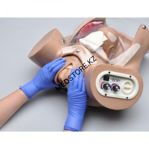 Симулятор родов, имитаторов родов, младенец, пуповина, плацента, кесарево