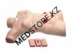 Тренажер для отработки навыков наложения швов и повязок