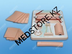 Универсальный тренажер базовых хирургических навыков наложения швов и завязывания узлов ТБН-1.02